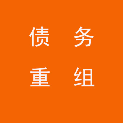 蜀山个人债务重组优化